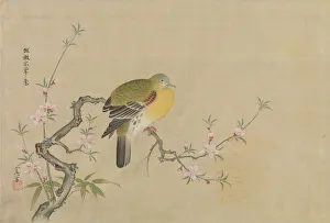 Kano Tsunenobu Prints: Album of Copies of Chinese Paintings, 17th century. Creator: Kano Yoboku Tsunenobu