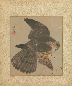Hawks Prints: Album of Hawks and Calligraphy, 17th-18th century. Creator: Kano Yoboku Tsunenobu