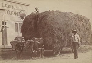 Albumen print of a man with a full hay cart, 1894-1904. Creator: E. K. Blush