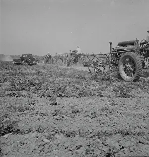 Mechanisation Prints: Aldridge Plantation, Mississippi, 1937. Creator: Dorothea Lange