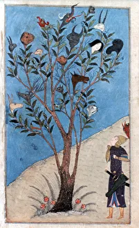 Alexander the Great, (356-323 BC), 1425