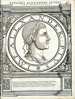 Alexander Severus (208 - 235), 1559