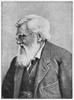 Halftone Gallery: Alfred Russell Wallace, Welsh naturalist, c1895
