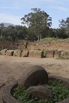 Tipasa Prints: Algeria, Tipasa, Amph, Oil press