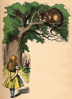 Alice Gallery: Alice and the Cheshire Cat, 1889. Artist: John Tenniel