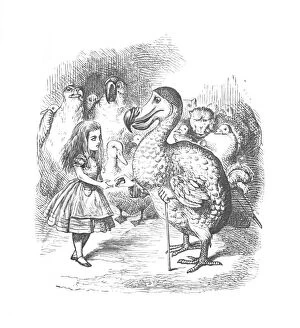 Dodo Gallery: Alice and the Dodo, 1889. Artist: John Tenniel