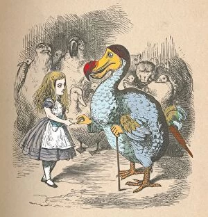 Dodo Gallery: Alice and the Dodo, 1889. Artist: John Tenniel