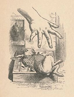 Fictional Character Gallery: Alice putting her hand down to the White Rabbit, 1889. Artist: John Tenniel