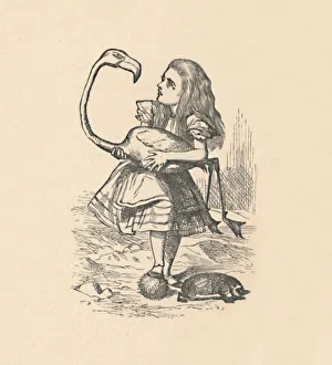 Nonsense Prints: Alice tries to play croquet with a flamingo as a mallet, 1889. Artist: John Tenniel