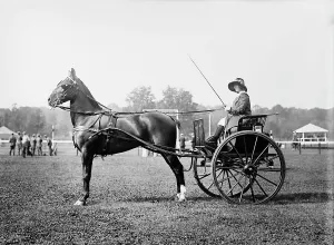 Pony And Trap Prints: Alix Dolan & Pride of Jersey, 1913. Creator: Bain News Service