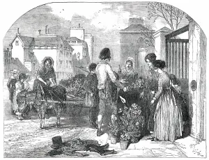 Donkey Cart Prints: All A-Blowing! All A-Growing!, 1850. Creator: Edmund Evans