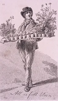 John Thomas Prints: All in full bloom, Cries of London, 1819. Artist: John Thomas Smith