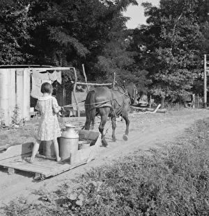 All Chris Adolfs children are hard workers on the new place, Yakima Valley, Washington, 1939. Creator: Dorothea Lange