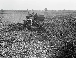 Tractor Prints: All-crop harvesting, Tulare County, California, 1938. Creator: Dorothea Lange