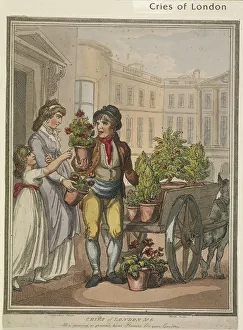 All a growing, a growing, heres Flowers for you Gardens, plate VI of Cries of London, 1799