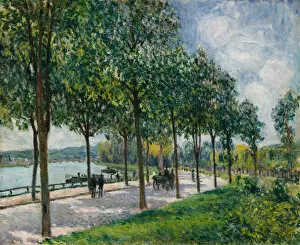 Chestnut Tree Collection: Allee of Chestnut Trees, 1878. Creator: Alfred Sisley