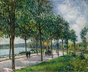 Arthur Sisley Prints: Allee of Chestnut Trees, 1878. Creator: Alfred Sisley