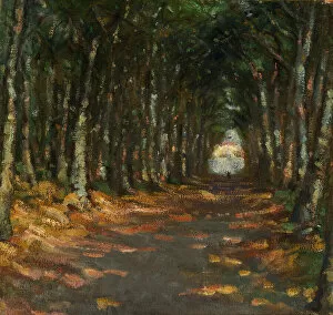 Alice Pike Gallery: Allee dans le Parc, ca. 1906. Creator: Alice Pike Barney