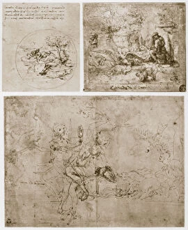 Allegories, 15th century. Artist: Leonardo da Vinci