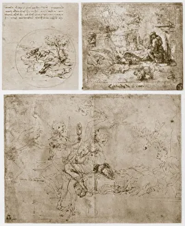 Allegories, 15th century. Artist: Leonardo da Vinci