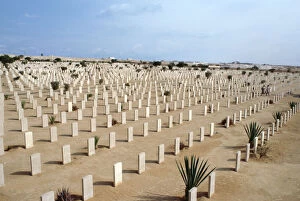 Allied Collection: Allied War Cemetery, El Alamein, Egypt