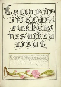 Almond in Flower; Mira calligraphiae monumenta, 1561-1562; illumination added 1591-1596. Creator: Joris Hoefnagel