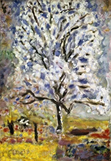 Almond Tree Gallery: The Almond Tree in Blossom, 1947. Artist: Pierre Bonnard