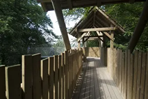 Alnwick Castle Gallery: Alnwick Gardens, 2006. Creator: Ethel Davies