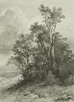 Copse Gallery: Alpine Landscape, 1861. Creator: Alexandre Calame