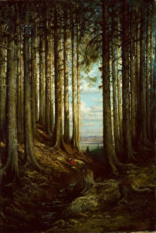 Tree Trunk Gallery: Alpine Scene, 1865. Creator: Gustave Doré