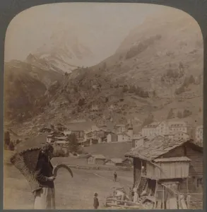 Basket Carrier Prints: The Alpine Spirits Sanctuary - the charming Zermatt, and the Matterhorn Switzerland