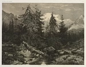 Alexandre Calame Collection: Alpine Stream. Creator: Alexandre Calame (Swiss, 1810-1864)