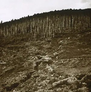 Alsace, c1914-c1918