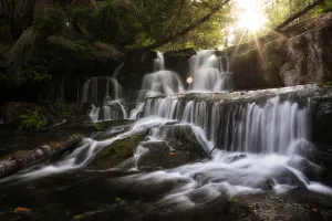 Sunlit Collection: Alsea Falls. Creator: Joshua Johnston