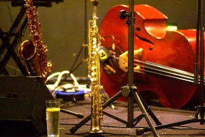Hastings Prints: Alto Sax, Venue M, Hastings, East Sussex. Artist: Brian O Connor