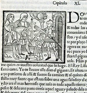 Images Dated 16th September 2014: Amadis De Gaula