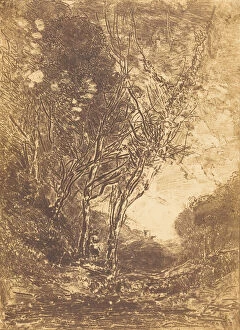 Ambush Collection: Ambush (L Embuscade), 1858. Creator: Jean-Baptiste-Camille Corot