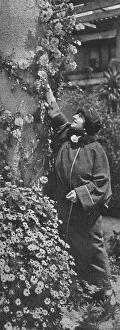 Harold Wheeler Gallery: Amelita Galli-Curci - The great diva gathering roses, her favourite flowers, c1925