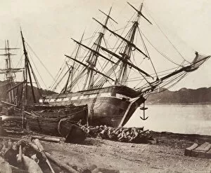 Anchor Gallery: American Barque Jane Tudor, Conway Bay, ca. 1855. Creator: David Johnson