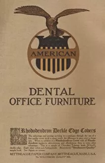 Label Gallery: American Dental Office Furniture - Rhododendron Deckle Cage Covers, 1909. Creators: Unknown