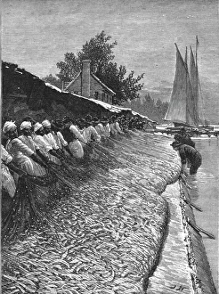 River Potomac Prints: The American Fisheries Question; Shad Fisheries on the Potomac, 1890. Creator: H.W Elliot