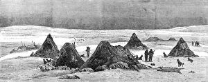 Camping Prints: The American Franklin Search Expedition: autumn camp on King William's Land, 1881