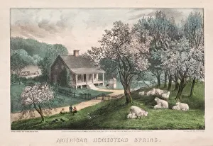 American Homestead, Spring, 1869. Creator: James Merritt Ives (American, 1824-1895) American Homestead, Spring, 1869. Creator: James Merritt Ives (American, 1824-1895)
