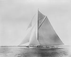 Americas Cup Gallery: Americas Cup challenger Shamrock III. Creator: Kirk & Sons of Cowes