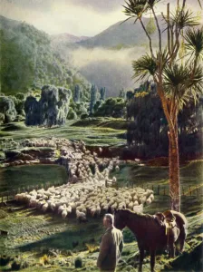 Enclosure Prints: Amid the Beauties of New Zealands Sheep Farms, c1948. Creator: Unknown