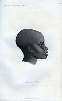 Amochi Galla, a portrait of a Galla, 1848