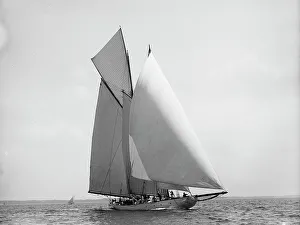 Johnston Js Prints: Amorita, 1899 July 4. Creator: Johns Johnston