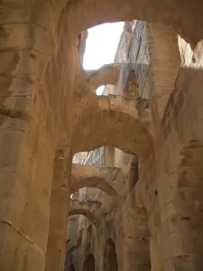 Tunisia Africa Prints: Amphitheatre of El Jem, Tunisia, 2009. Creator: Amanda Waite