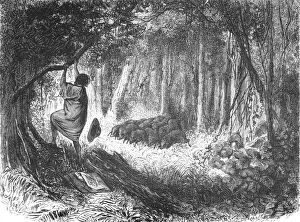 'An Aboriginal in Danger; An Ascent of the Cofre de Perote, Mexico', 1875. Creator: Unknown
