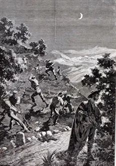 Anarchist movement of the Black Hand in Cadiz, destroying the vines between Arcos Anarchist movement of the Black Hand in Cadiz, destroying the vines between Arcos